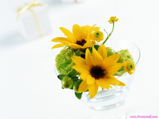 420124 (a): :1024x768
